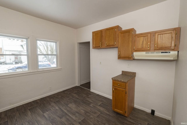 kitchen featuring dark hardwood / wood-style flooring