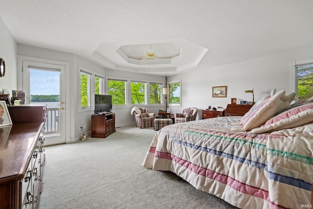 carpeted bedroom with a raised ceiling and multiple windows