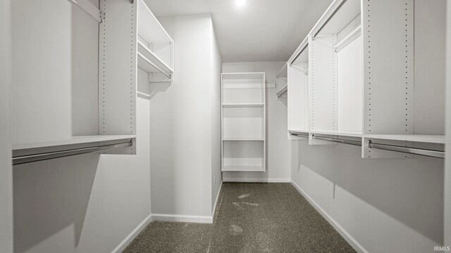 walk in closet featuring dark carpet