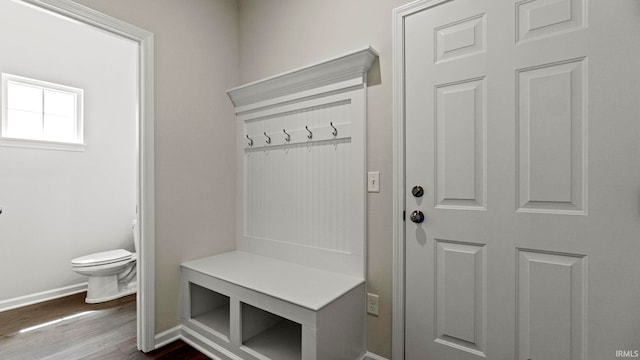 mudroom featuring dark hardwood / wood-style floors