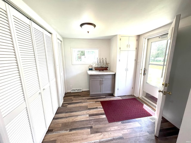 doorway featuring a wealth of natural light and dark wood-type flooring