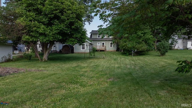 view of yard featuring a wooden deck