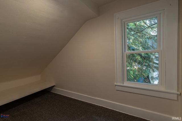 bonus room with lofted ceiling and carpet