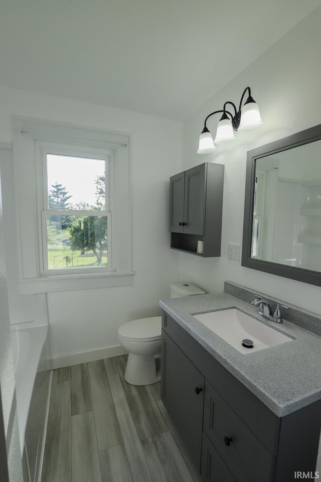 bathroom with wood-type flooring, toilet, and large vanity