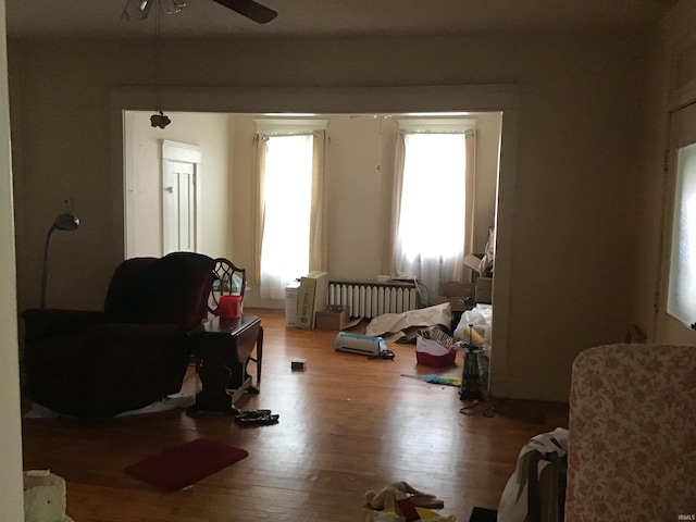 living room featuring ceiling fan, radiator heating unit, hardwood / wood-style floors, and a healthy amount of sunlight