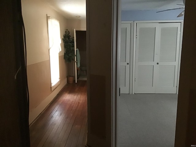 hallway with dark hardwood / wood-style floors