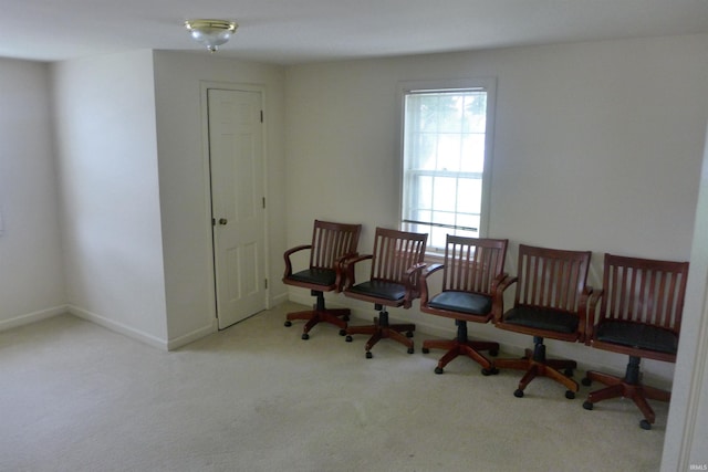 living area featuring light colored carpet