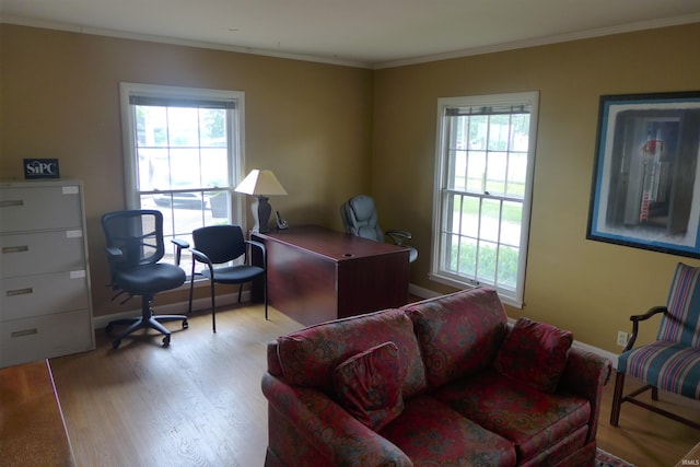 office area with crown molding and light hardwood / wood-style flooring