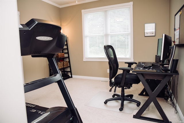 office featuring carpet floors, baseboards, and ornamental molding