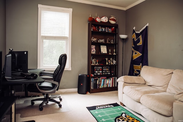 carpeted office space featuring baseboards and crown molding