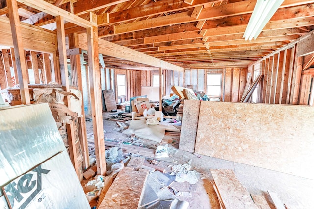 miscellaneous room featuring a healthy amount of sunlight