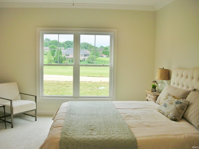 bedroom with carpet floors and crown molding