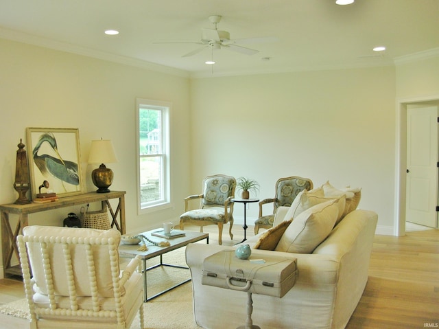 living room with ceiling fan, light hardwood / wood-style floors, and crown molding