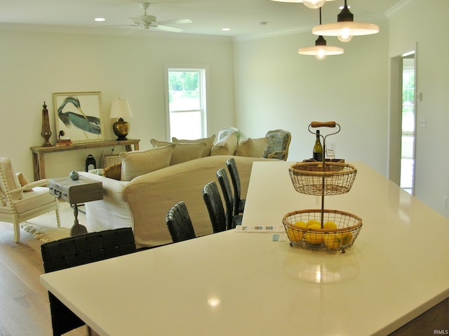 dining space featuring hardwood / wood-style flooring, ceiling fan, and ornamental molding