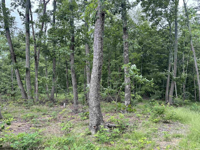 11507 E Smith Rd, Scottsburg, IN 47170