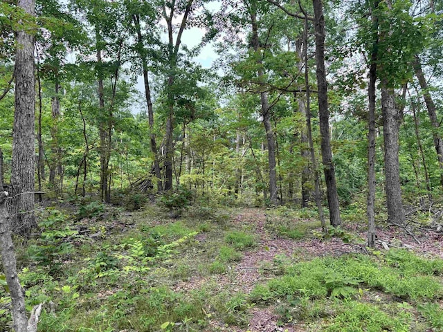 11507 E Smith Rd, Scottsburg, IN 47170