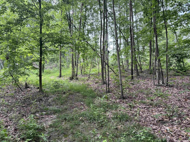 11507 E Smith Rd, Scottsburg, IN 47170