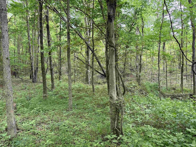 11507 E Smith Rd, Scottsburg, IN 47170
