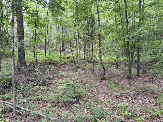11507 E Smith Rd, Scottsburg, IN 47170