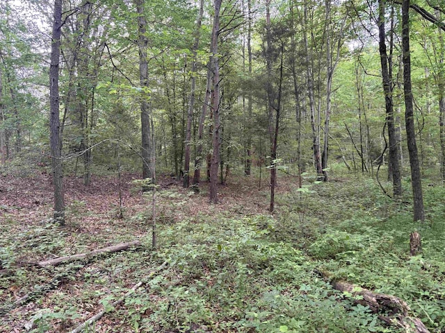 11507 E Smith Rd, Scottsburg, IN 47170