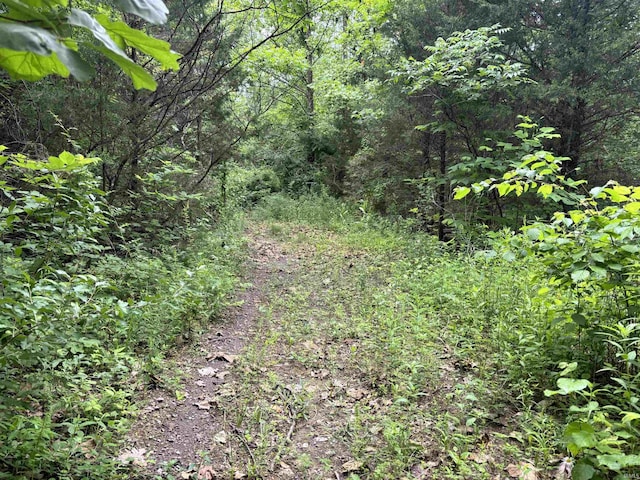 11507 E Smith Rd, Scottsburg, IN 47170