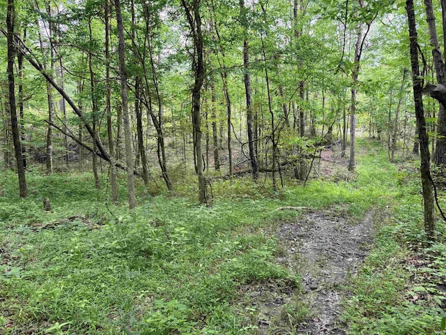 11507 E Smith Rd, Scottsburg, IN 47170