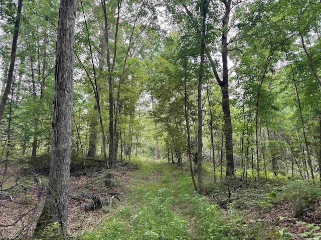 11507 E Smith Rd, Scottsburg, IN 47170