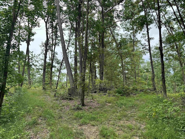 11507 E Smith Rd, Scottsburg, IN 47170