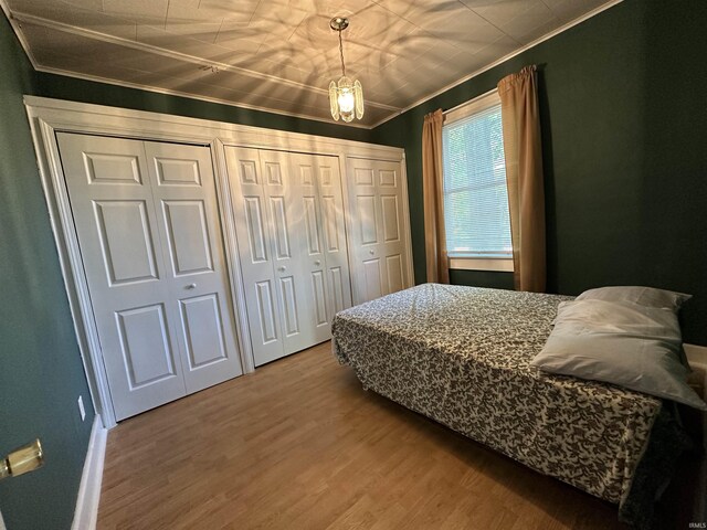 bedroom with hardwood / wood-style flooring, two closets, and ornamental molding