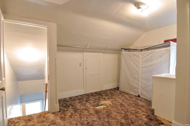 walk in closet featuring vaulted ceiling and carpet flooring