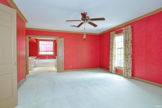 spare room featuring ceiling fan, carpet, and ornamental molding