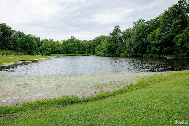 view of water feature