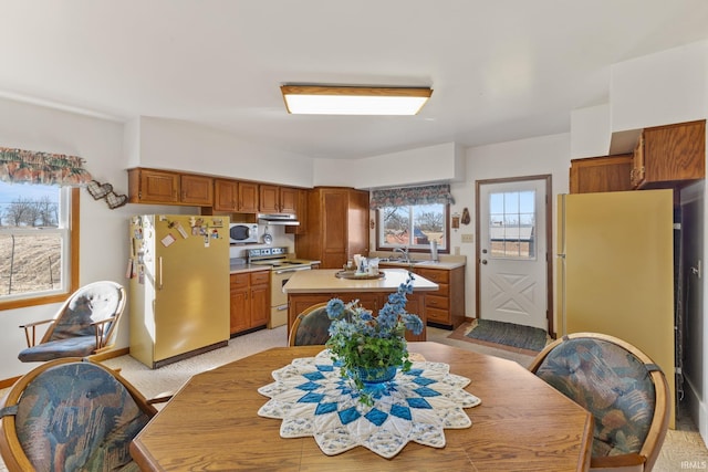 kitchen featuring light colored carpet, white appliances, and sink