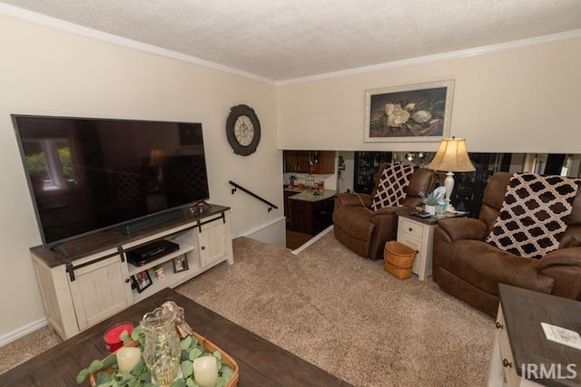 living room with carpet floors, a textured ceiling, and ornamental molding