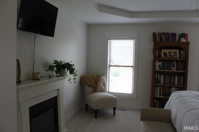 interior space with a raised ceiling and carpet floors