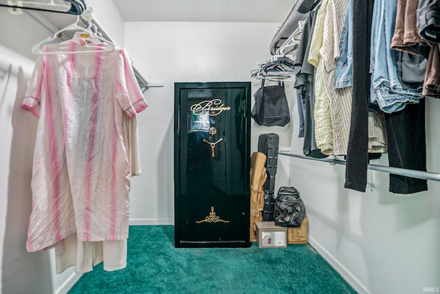 spacious closet featuring carpet flooring