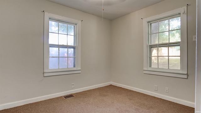 unfurnished room featuring carpet flooring and plenty of natural light