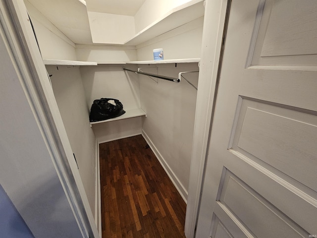 walk in closet with dark hardwood / wood-style flooring