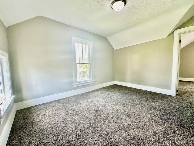additional living space featuring a textured ceiling, carpet floors, and lofted ceiling