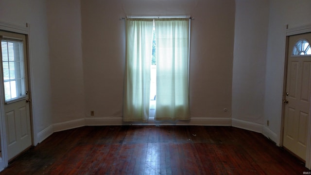 foyer entrance featuring dark wood-type flooring