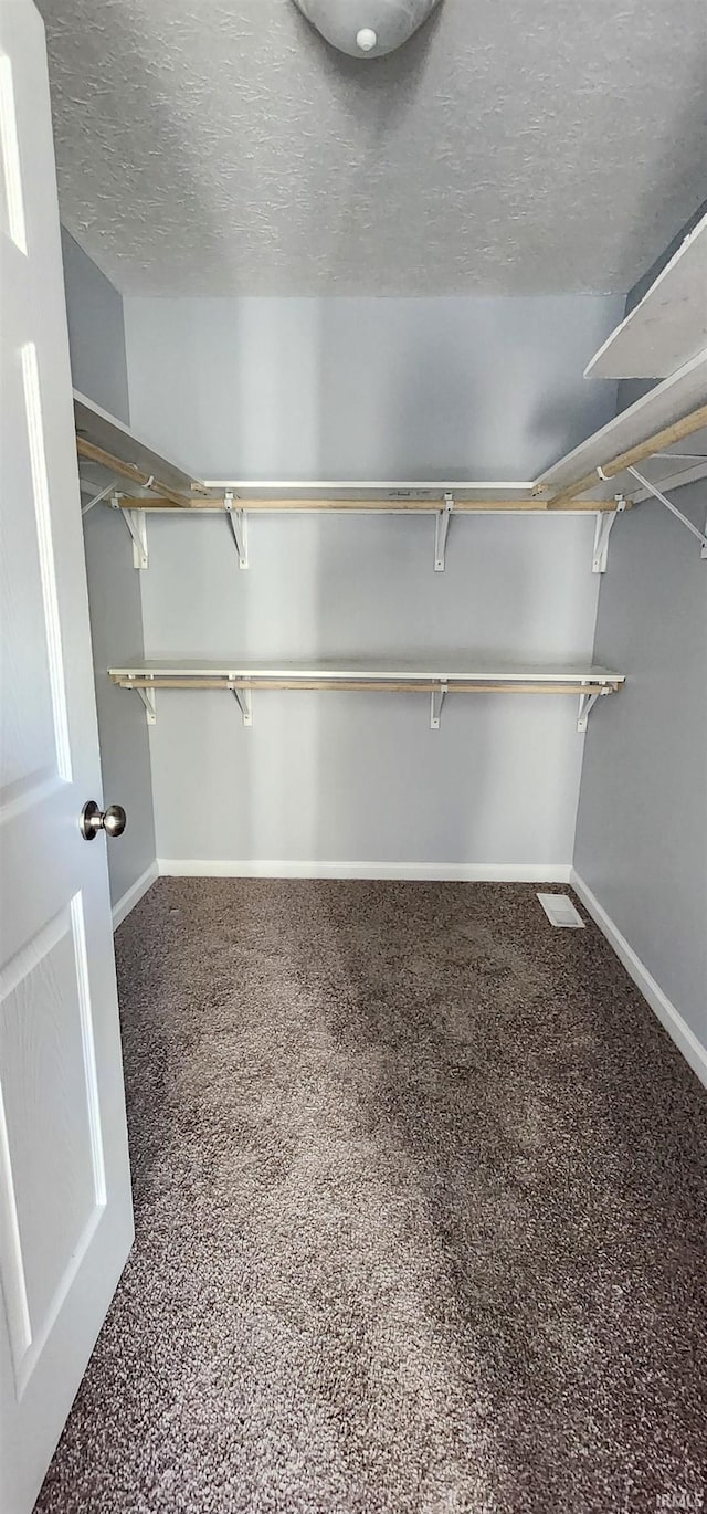 spacious closet with carpet