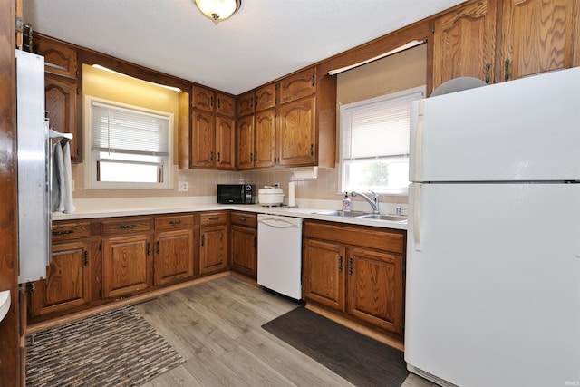 kitchen featuring sink, light hardwood / wood-style floors, and white appliances