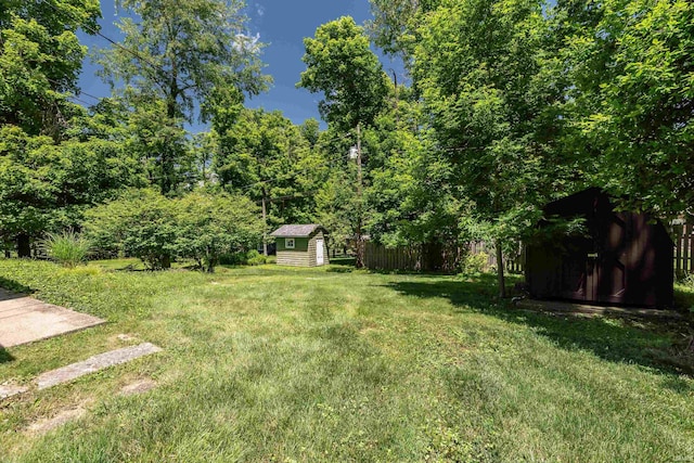 view of yard with a shed