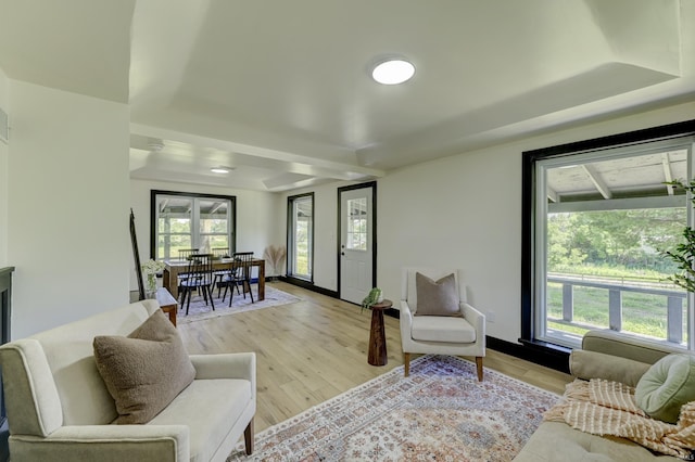 living room featuring plenty of natural light and light hardwood / wood-style floors