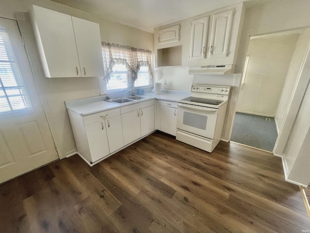 kitchen with sink, range hood, white electric range oven, dark hardwood / wood-style flooring, and white cabinetry