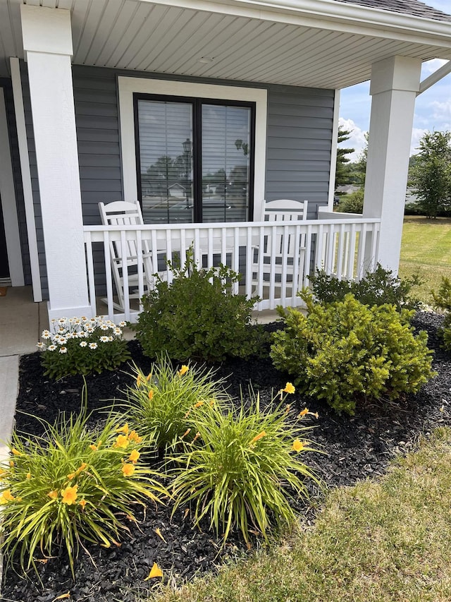 view of exterior entry with a porch