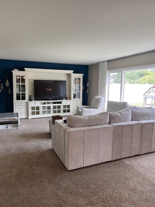 living room featuring carpet flooring and a textured ceiling