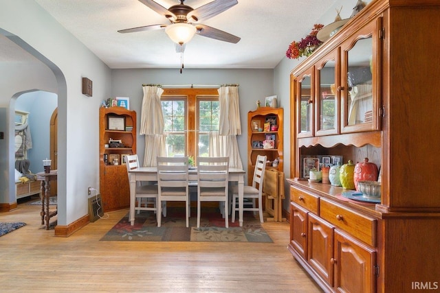 dining area with ceiling fan and light hardwood / wood-style flooring