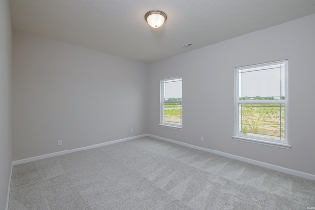 spare room featuring light carpet