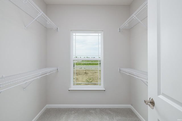 bathroom with walk in shower, hardwood / wood-style flooring, and toilet